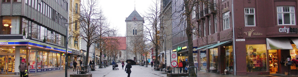 2008 Norvège